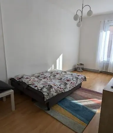 Appartamento Charmant En Centre-ville