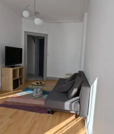 Charmant En Centre-ville Appartamento Mulhouse
