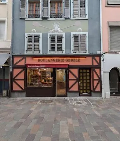 Charmant En Centre-ville Appartamento Mulhouse
